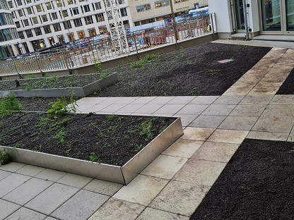 Gründach und Plattenbelag